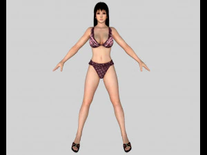 11 beautifuly seductive bikini girls collection festival offer 3D Model