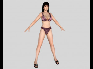 11 beautifuly seductive bikini girls collection festival offer 3D 模型
