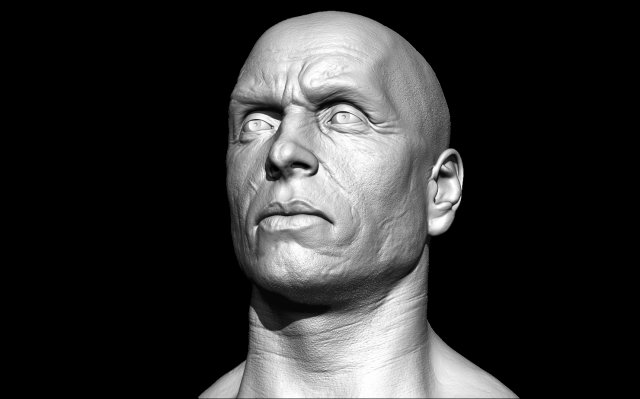 realistic male head 3Dモデル .c4d .max .obj .3ds .fbx .stl .blend 