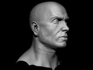 realistic male head 3D Model