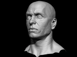 realistic male head 3D Model