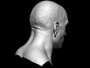 realistic male head 3D Model