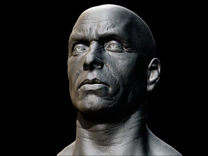 realistic male head 3D Model