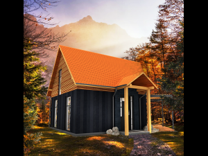 50m2 tiny house with all accommodation for whole year living Modello 3D