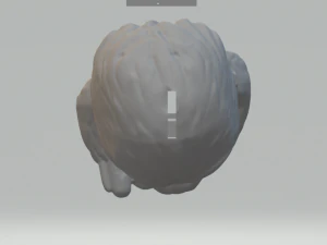 chewbacca money safe 3D Print Model