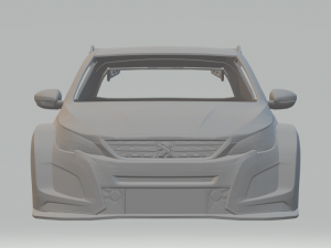 Pegeout 308 tcr 3D Print Model