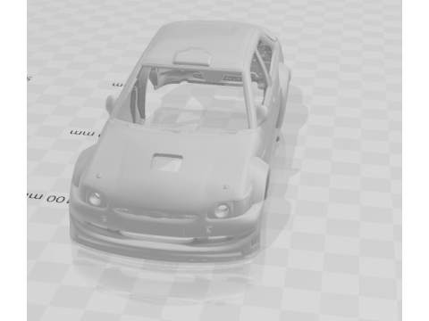 Escort rally 3D 打印模型