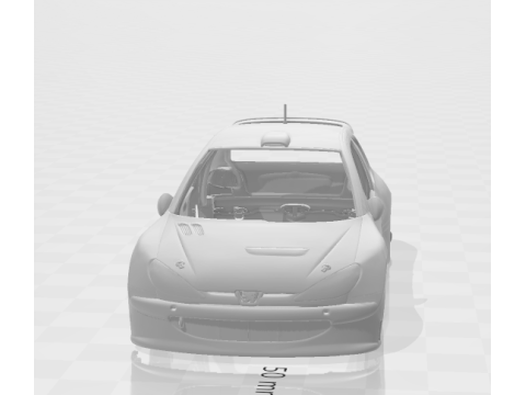 Peugeot 206 rally Model do druku 3D
