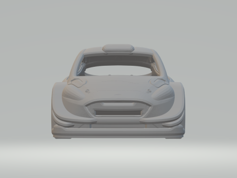 Fiesta rally Modello di stampa 3D