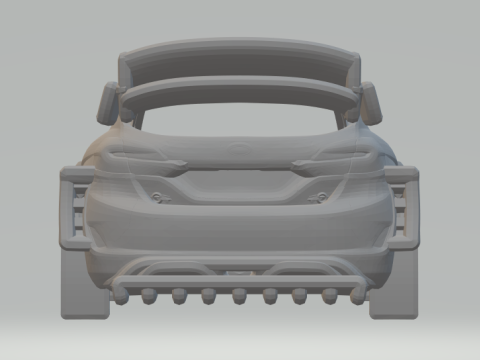 Fiesta rally Modello di stampa 3D
