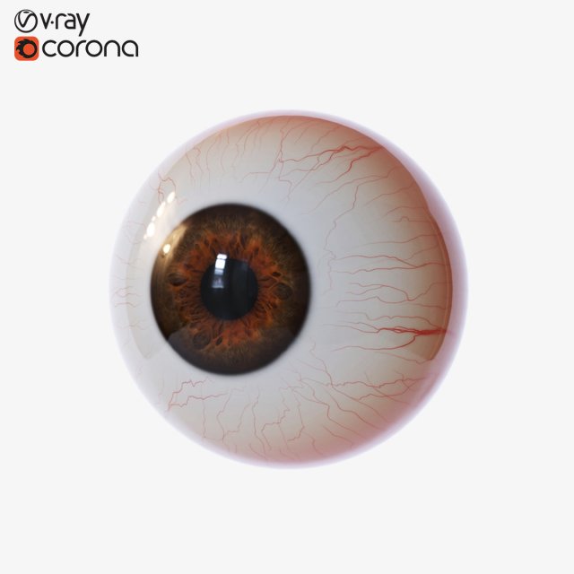 eyeball 3D Модель .c4d .max .obj .3ds .fbx .stl .blend 