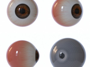 eyeball 3D Модель
