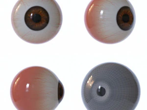 eyeball 3D Model