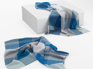 muuto loom throw 3D Модель