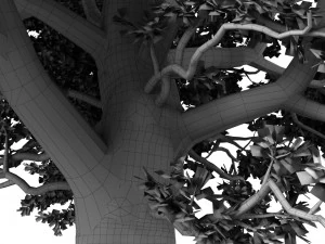 oak tree 3D Model