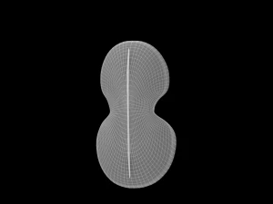 Meceneanshield 3D Model