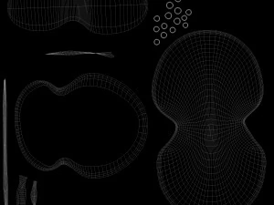 Meceneanshield 3D Model