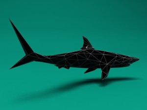 shark Model 3D