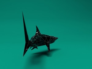 shark Model 3D