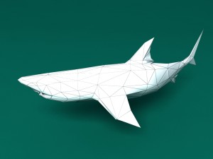 shark Model 3D