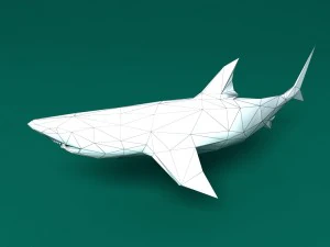 shark 3D Model
