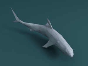 shark Model 3D