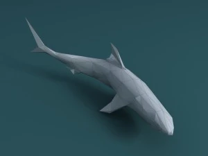 shark 3D Model