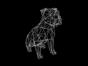 american bulldog 3D Model