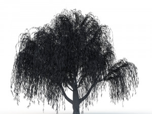 willow tree Modelo 3D