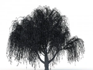 willow tree 3D Model