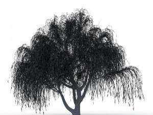 willow tree 3D Model