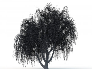 willow tree Modelo 3D