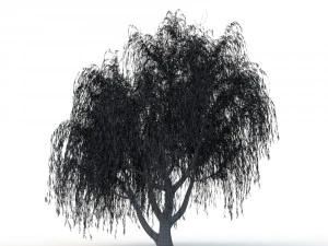 willow tree 3D Model