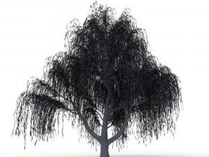 willow tree Modelo 3D