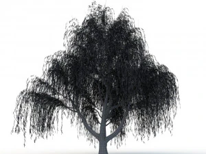 willow tree 3D Model