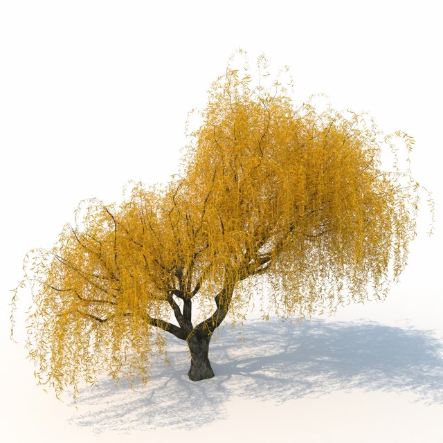 willowv2 3D Модель .c4d .max .obj .3ds .fbx .stl .blend 