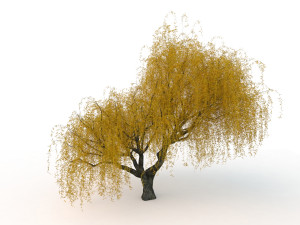 willowv2 3D Модель