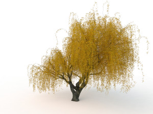 willowv2 3D Модель