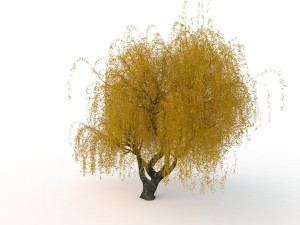 willowv2 3D Модель