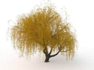 willowv2 3D Модель