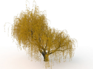 willowv2 3D Модель