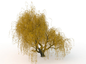 willowv2 3D Модель