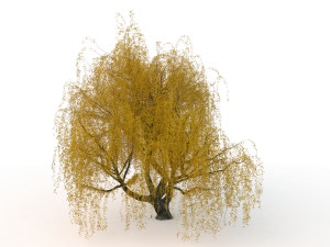 willowv2 3D Модель
