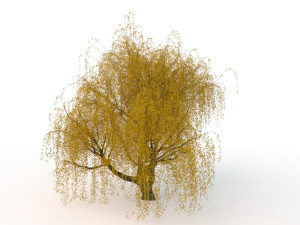 willowv2 3D Модель