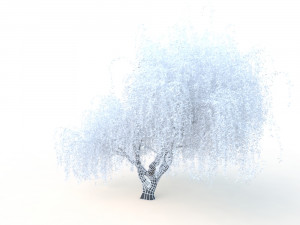 willowv2 3D Модель