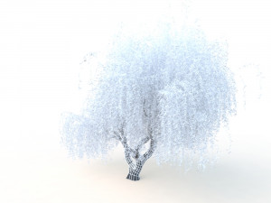 willowv2 3D Модель