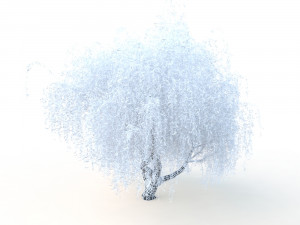 willowv2 3D Модель