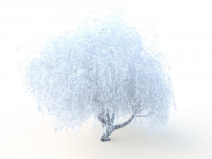 willowv2 3D Модель
