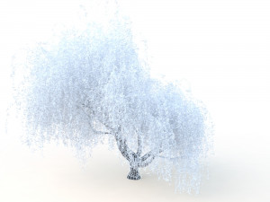 willowv2 3D Модель
