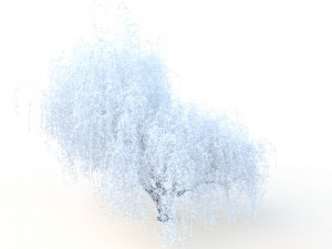 willowv2 3D Модель